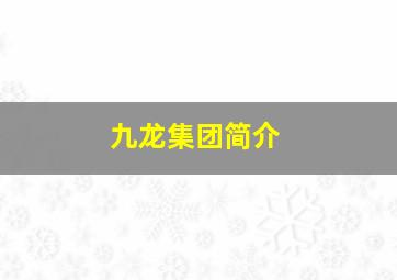 九龙集团简介