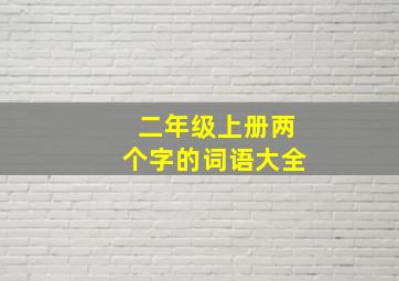 二年级上册两个字的词语大全