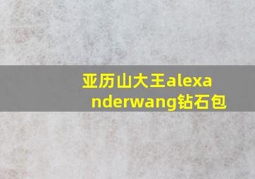 亚历山大王alexanderwang钻石包