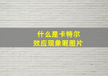 什么是卡特尔效应现象呢图片