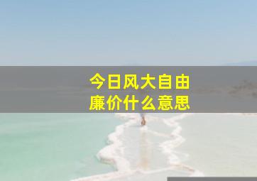 今日风大自由廉价什么意思