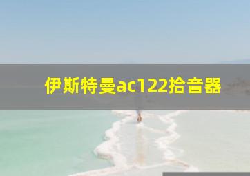 伊斯特曼ac122拾音器