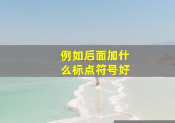 例如后面加什么标点符号好