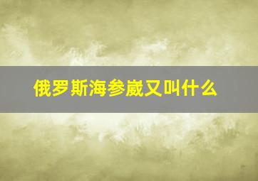 俄罗斯海参崴又叫什么