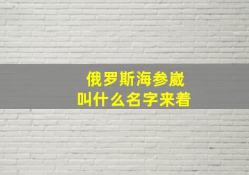 俄罗斯海参崴叫什么名字来着