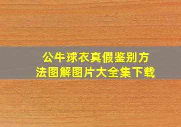 公牛球衣真假鉴别方法图解图片大全集下载