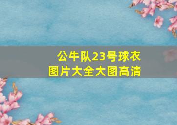 公牛队23号球衣图片大全大图高清