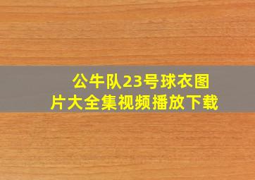 公牛队23号球衣图片大全集视频播放下载