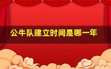 公牛队建立时间是哪一年