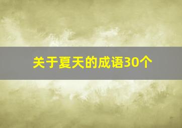 关于夏天的成语30个