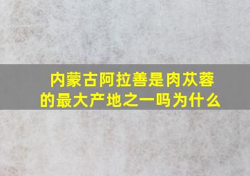 内蒙古阿拉善是肉苁蓉的最大产地之一吗为什么