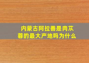 内蒙古阿拉善是肉苁蓉的最大产地吗为什么