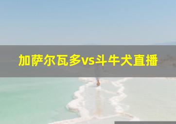 加萨尔瓦多vs斗牛犬直播