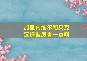 加里内维尔和贝克汉姆谁厉害一点啊