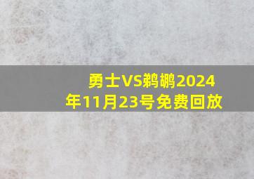 勇士VS鹈鹕2024年11月23号免费回放