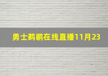 勇士鹈鹕在线直播11月23