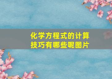 化学方程式的计算技巧有哪些呢图片