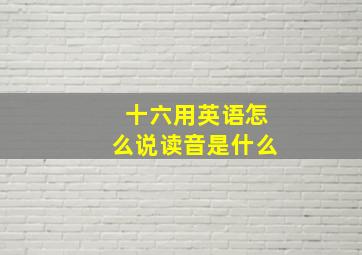 十六用英语怎么说读音是什么