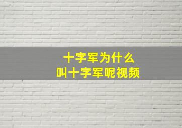 十字军为什么叫十字军呢视频