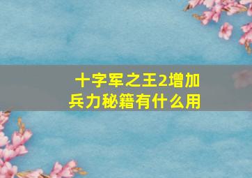 十字军之王2增加兵力秘籍有什么用