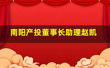 南阳产投董事长助理赵凯