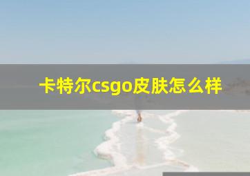 卡特尔csgo皮肤怎么样