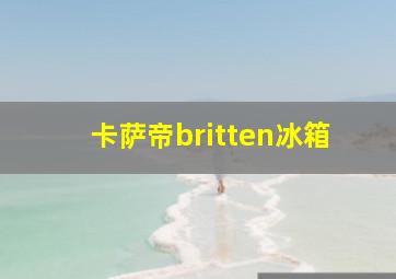 卡萨帝britten冰箱