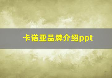 卡诺亚品牌介绍ppt