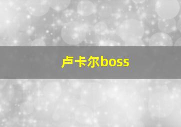 卢卡尔boss