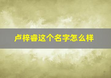 卢梓睿这个名字怎么样