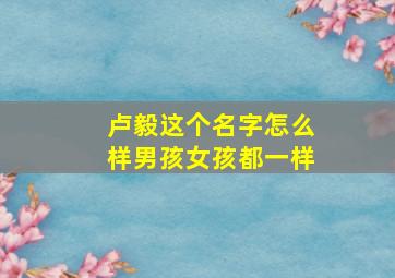 卢毅这个名字怎么样男孩女孩都一样