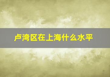 卢湾区在上海什么水平