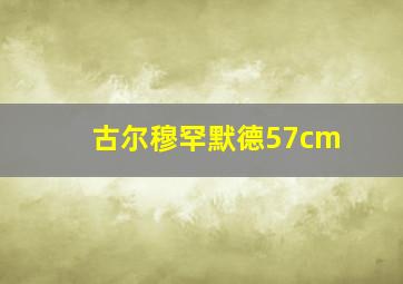 古尔穆罕默德57cm