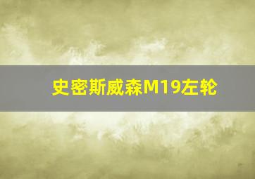 史密斯威森M19左轮