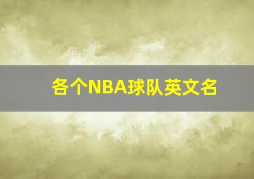 各个NBA球队英文名