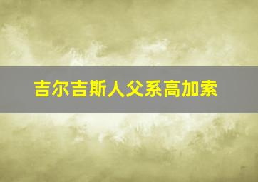 吉尔吉斯人父系高加索