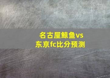 名古屋鲸鱼vs东京fc比分预测