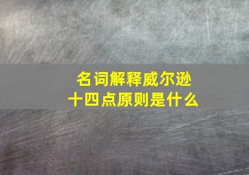 名词解释威尔逊十四点原则是什么