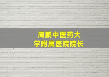 周鹏中医药大学附属医院院长