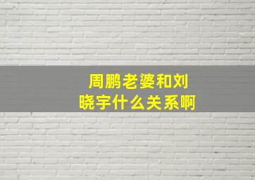 周鹏老婆和刘晓宇什么关系啊