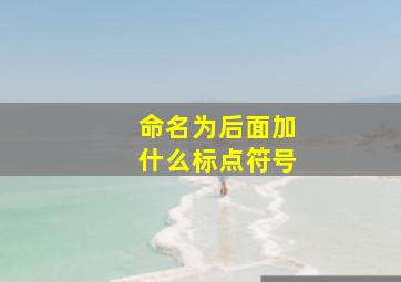 命名为后面加什么标点符号