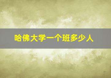 哈佛大学一个班多少人