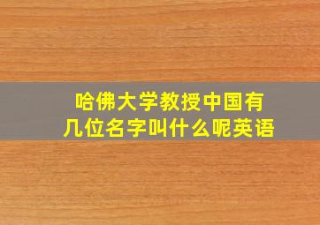 哈佛大学教授中国有几位名字叫什么呢英语