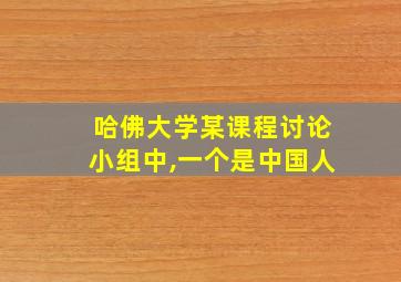 哈佛大学某课程讨论小组中,一个是中国人