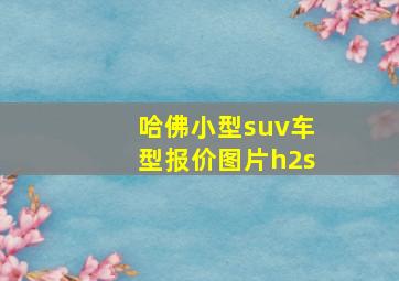 哈佛小型suv车型报价图片h2s