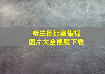 哈兰德比赛集锦图片大全视频下载