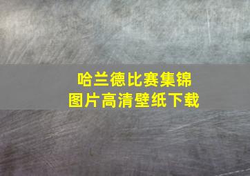 哈兰德比赛集锦图片高清壁纸下载