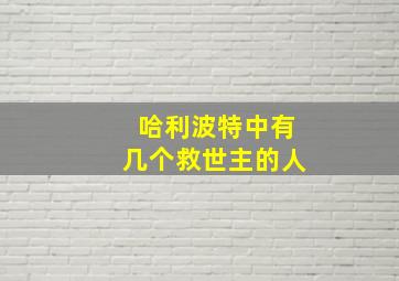 哈利波特中有几个救世主的人