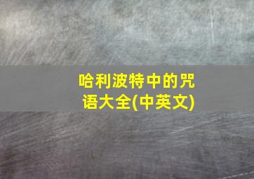 哈利波特中的咒语大全(中英文)