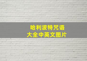 哈利波特咒语大全中英文图片